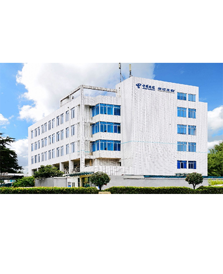 成都服務器托管/電信棕樹機房